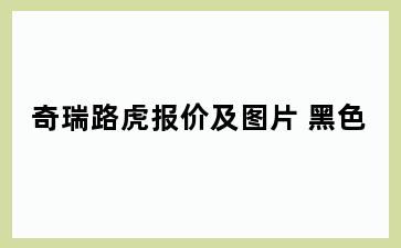 奇瑞路虎报价及图片 黑色